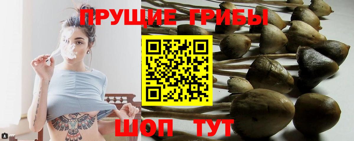 Сергиев Посад  Псилоцибиновые грибы ЛСД  Вход с VPN 
